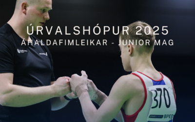 Úrvalshópur unglinga – áhaldafimleikar karla