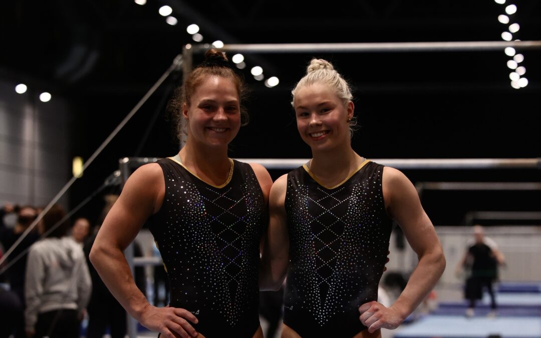 Evrópumót í áhaldafimleikum