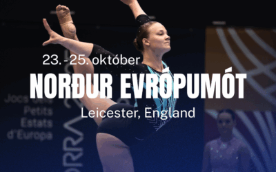 Landsliðstilkynning – NEM